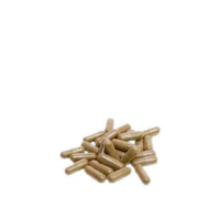 60 Gélules de costus indien