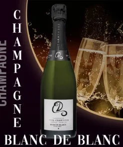 Champagne Blanc de Blancs – Duval Charpentier