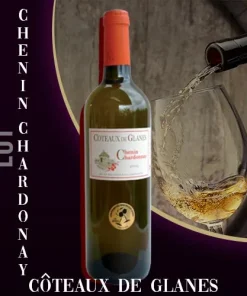 Blanc Chenin Chardonnay – Côteaux de Glanes