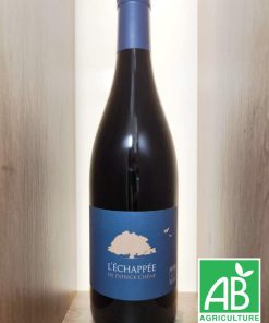 Dambrun – L&rsquo;Echappée de Patrick Chêne – Rouge 2021