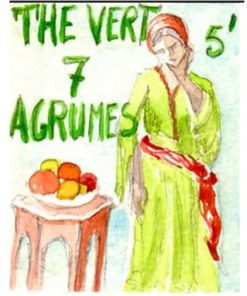 Thé vert parfumé 7 agrumes- Sachet 100 g net